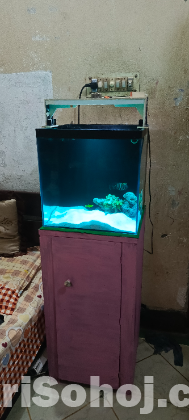 15 cube 6mm crystal backsump aquarium